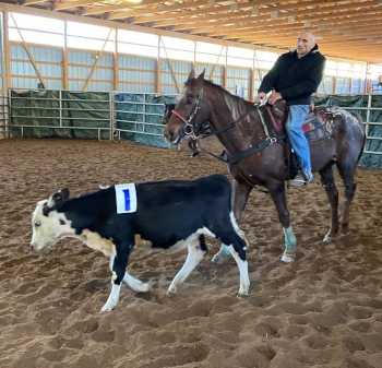 Adam participating in Ranch Sorting